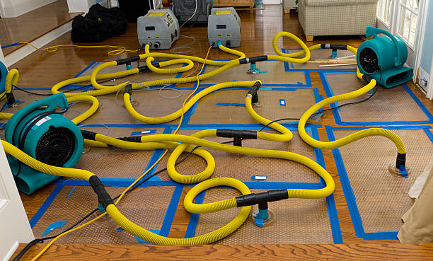 Professional Crawl Space Water Removal technician working in Princeton, KS